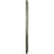 Ekena Millwork Anthony Harvest Medallion (Canopies up to 2 1/8"), 22 1/2"OD x 1 1/4"P, Athenian Green Crackle CM22ATAGC - alternate 2
